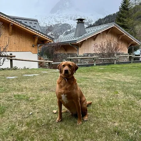 Cosy In Le Tour * Chamonix